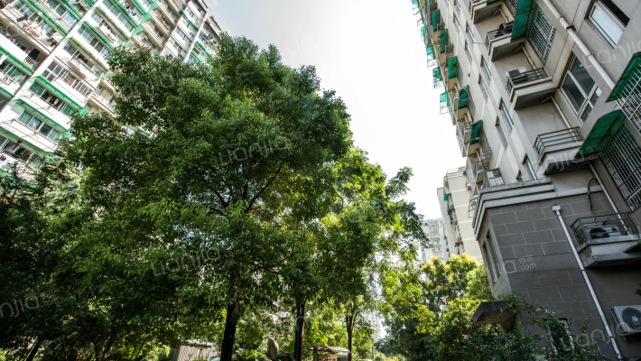 大浒东苑外景图