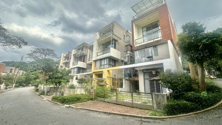 勤天一品树院外景图