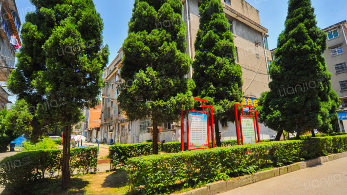 莲塘市场南巷外景图