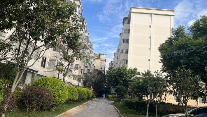 橄榄家园外景图