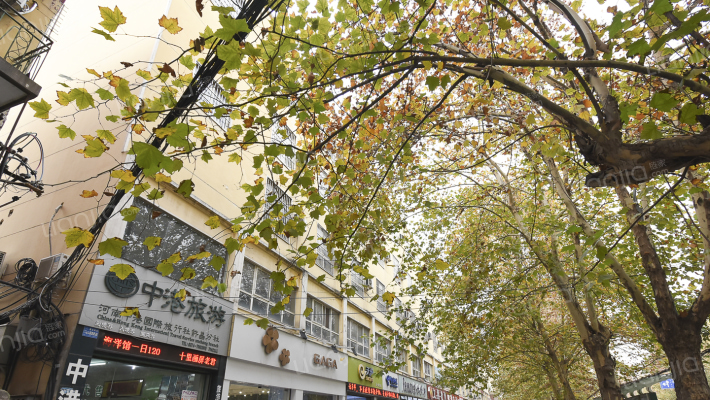 许昌市第三高级中学家属院外景图