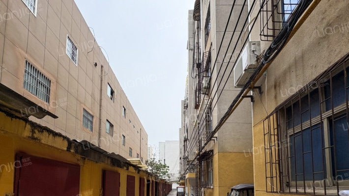 柴油机厂家属院外景图