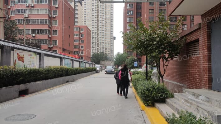 大白杨南路4号外景图