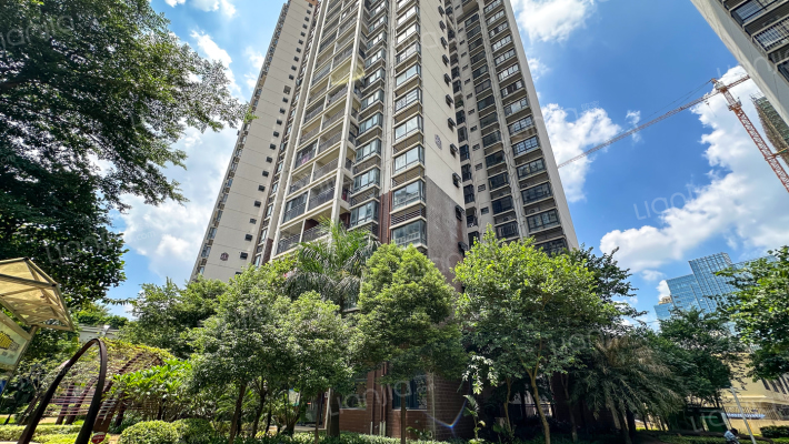 万丰新新传说外景图