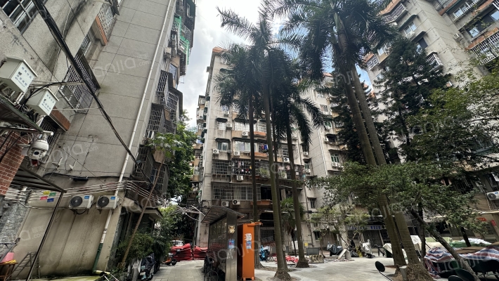 明月二路外景图