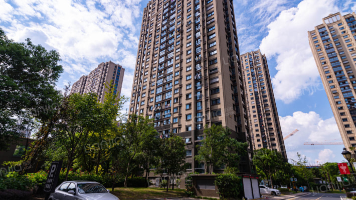 如意紫都外景图