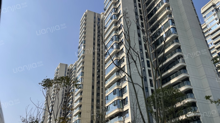 盛世名邸外景图