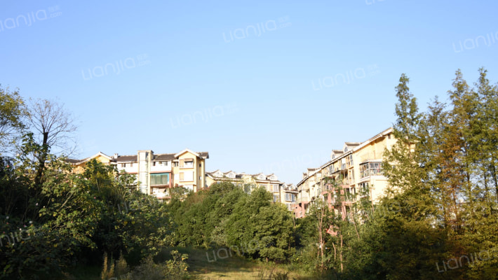 劲扬缙云印象外景图