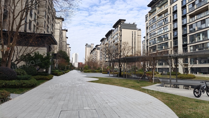 大境天成西区外景图