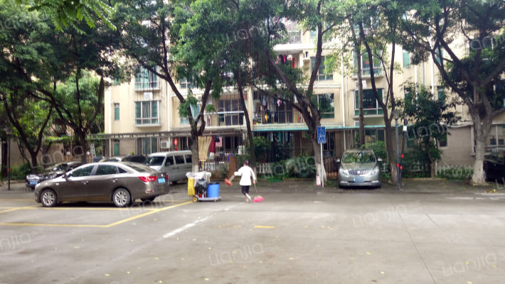 新塘新世界花园嘉华苑外景图