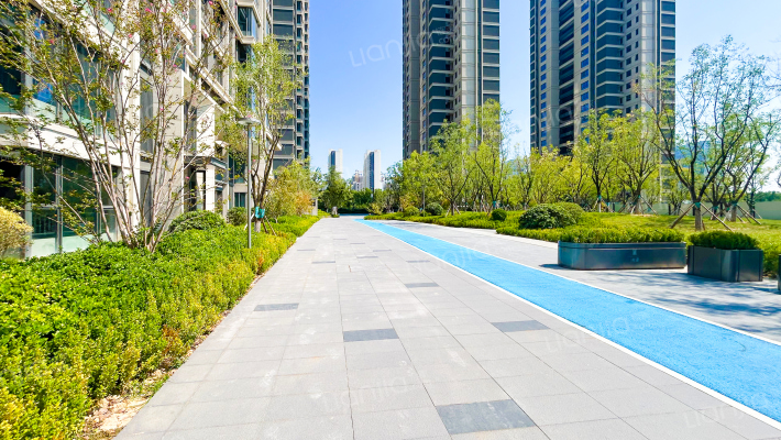 白桦林悦湖外景图