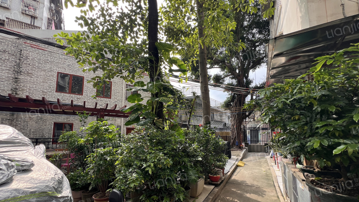 将军新村外景图