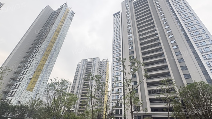 大悦繁华图外景图