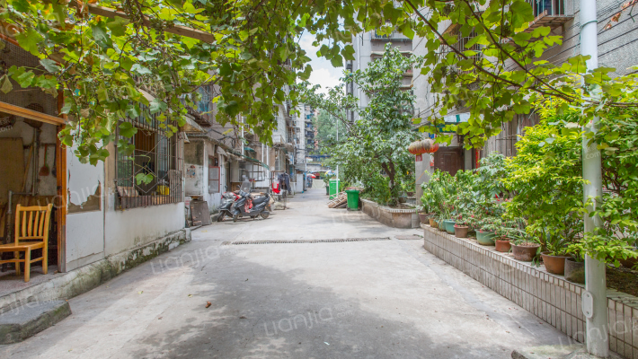 环南巷73号小区外景图