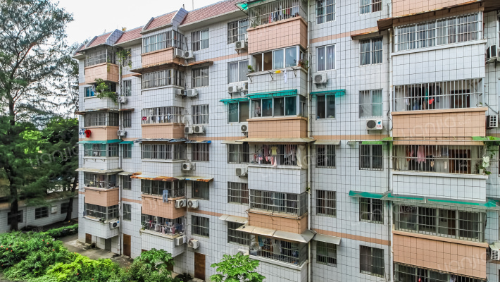 南湖绿庭外景图