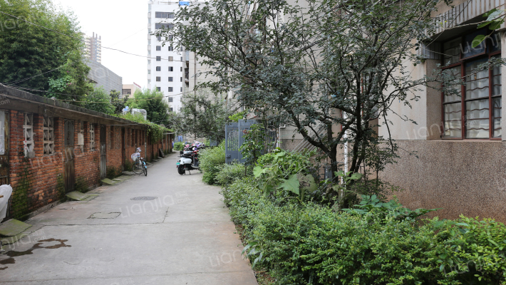 小厂住宅区外景图