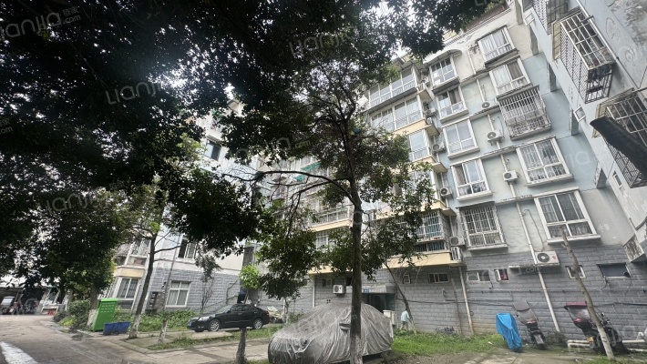 津都花城外景图