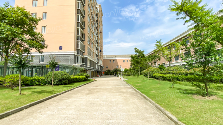 城西新村北区外景图