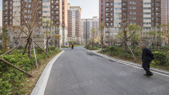 张湖桥社区外景图