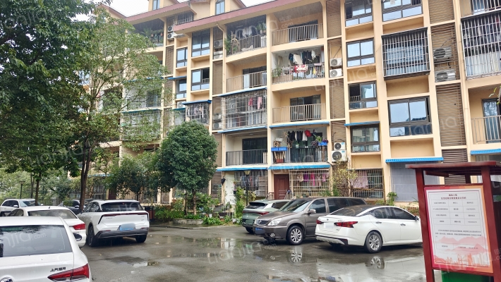 枫林小筑外景图