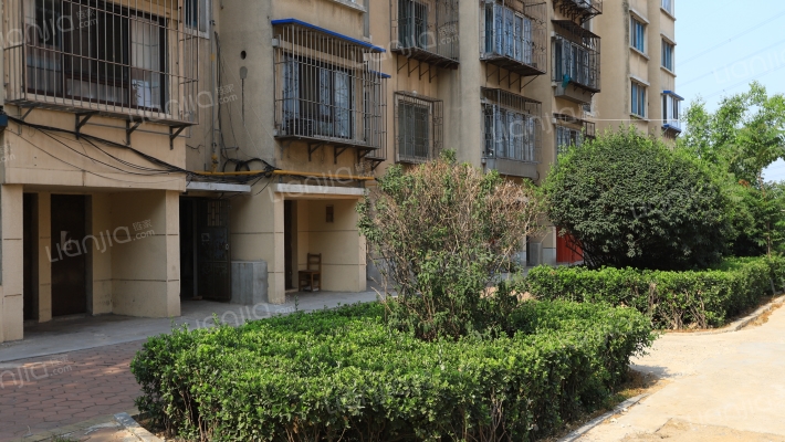 金纺纺校家属楼外景图