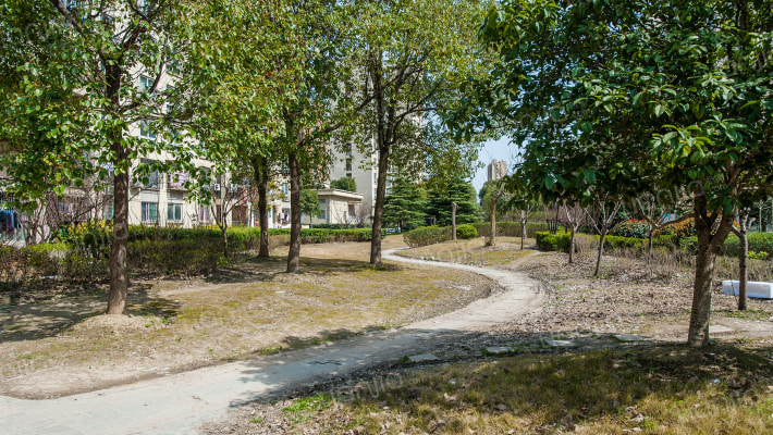 中星海兰苑外景图