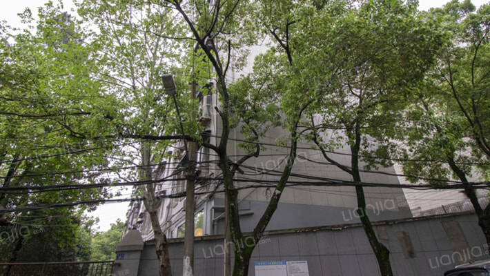 桂元路65号外景图