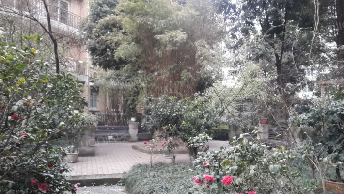 倍特金杏苑A区外景图