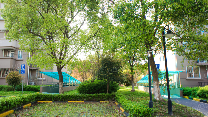 滨浦新苑八村外景图