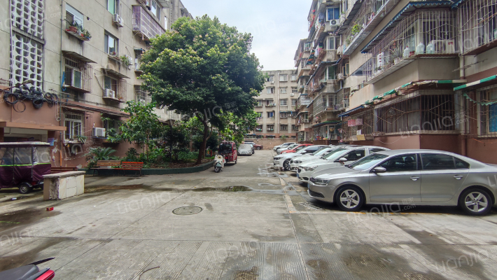 长柏路社区居委会第三小区外景图