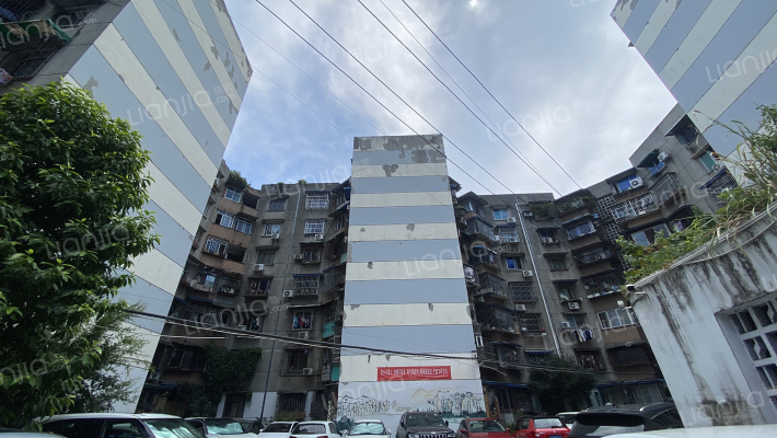 莲花新区南一巷2号院外景图