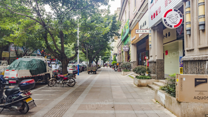 四洲蜜方外景图