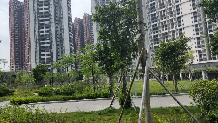 西湾和苑外景图