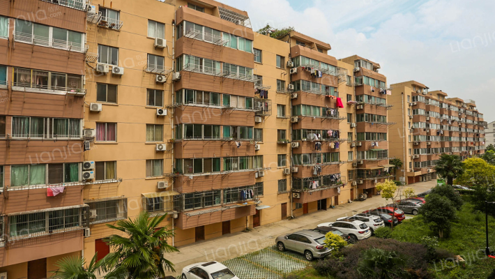 学田棕榈园外景图