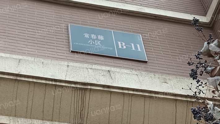 智高常春藤B区外景图