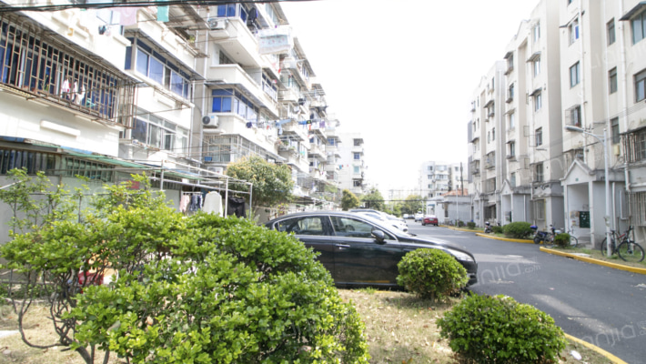 金桥新村四街坊外景图