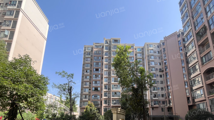 蜀镇金悦湖外景图