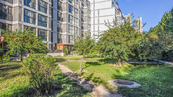 柏林爱乐三期外景图