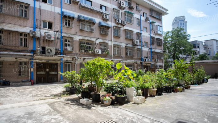 傅厚岗(玄武)外景图