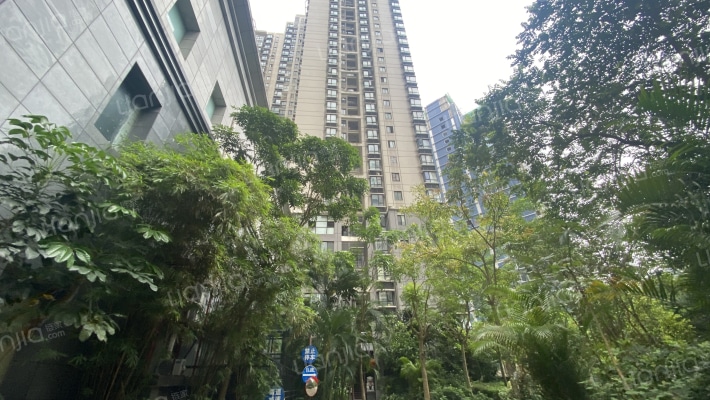 洛杉矶城外景图