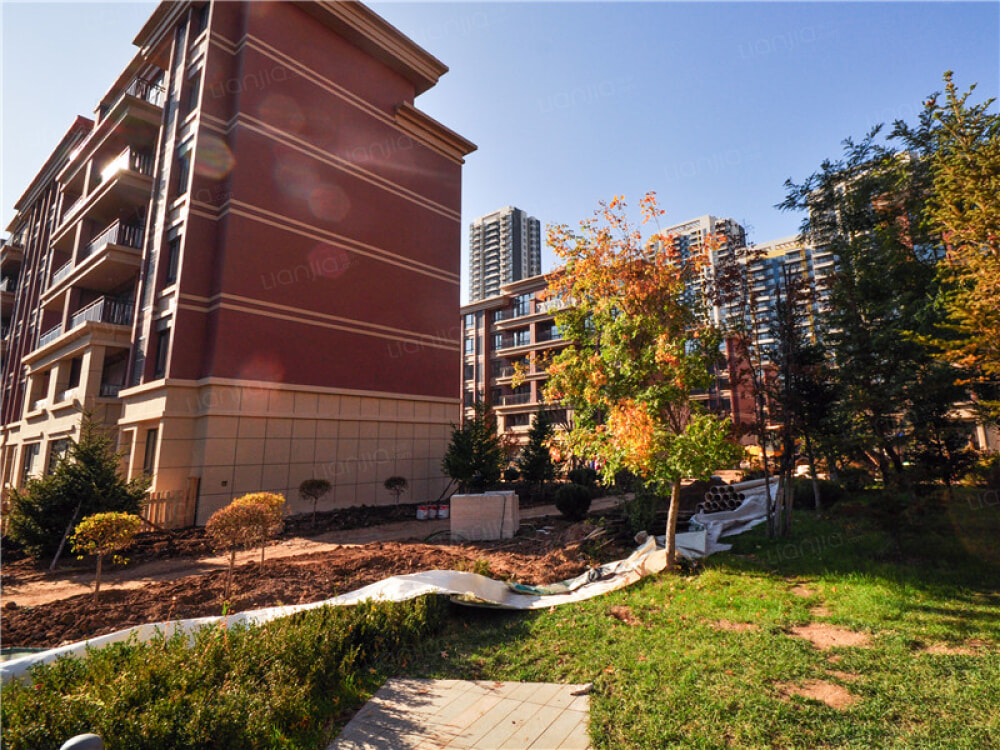 新加坡花园相册