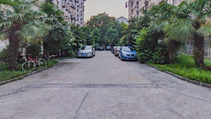 荷花新苑外景图