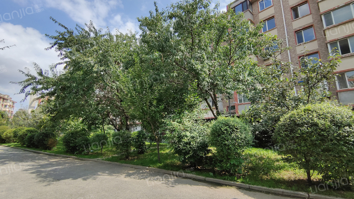 阳光梧桐园外景图