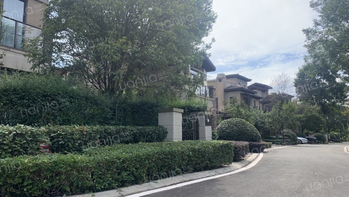 茶田小院外景图