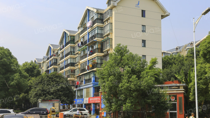 江滨玫瑰园外景图