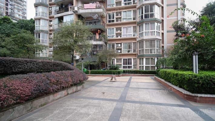 金洲星韵苑外景图