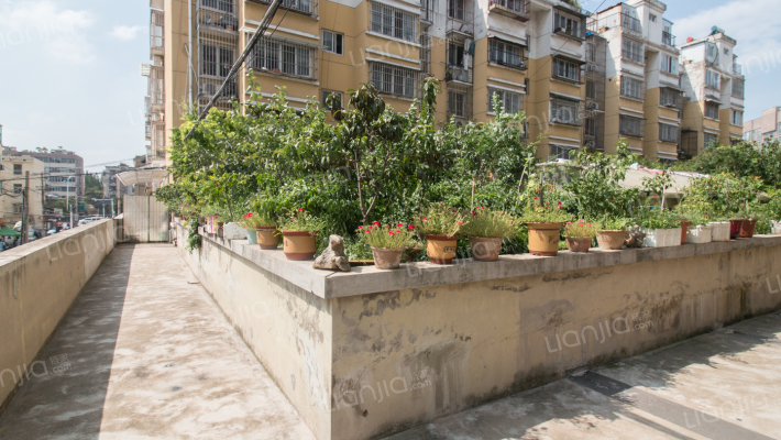 瑞丰花园外景图