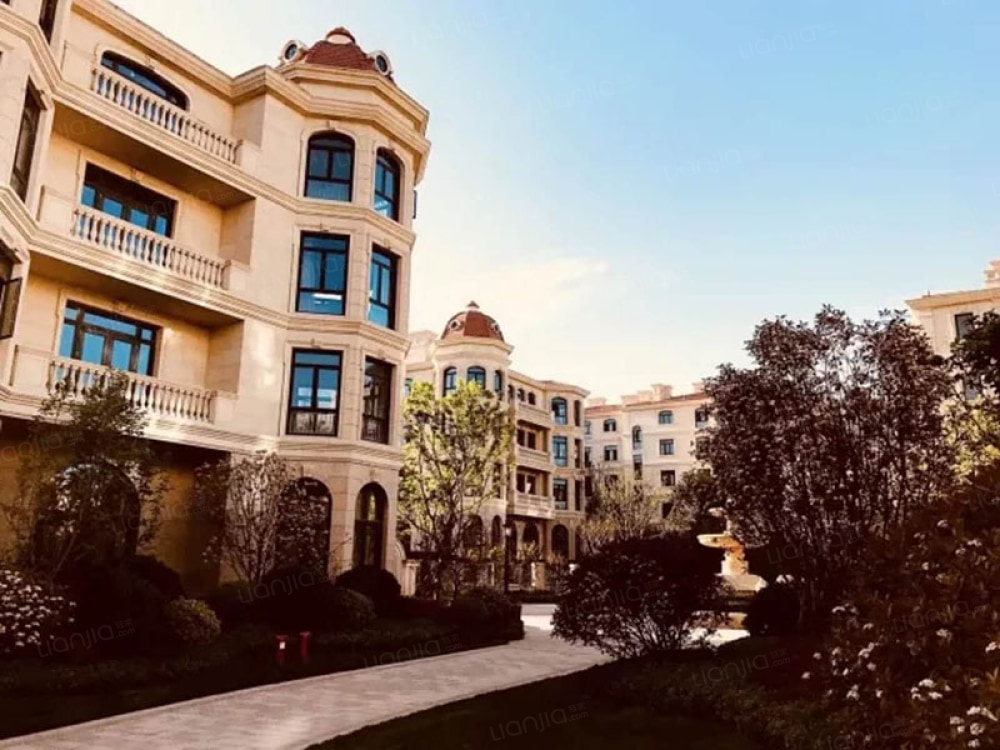 青岛莱阳路8号相册