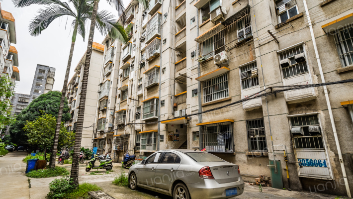 银杉电线公司职工住宅楼外景图