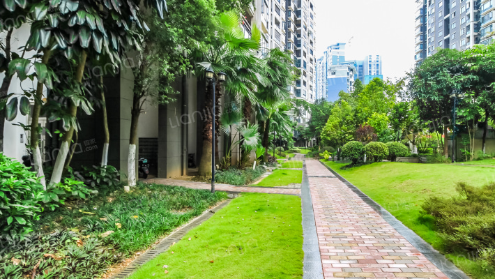 凤岭·新新家园A区外景图